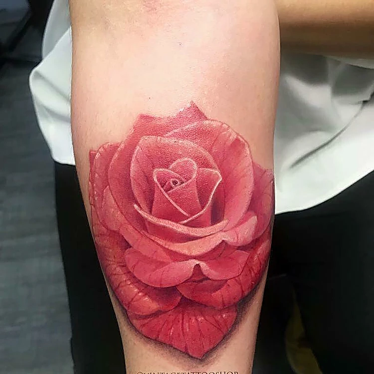 Rosa roja realista a color en el antebrazo